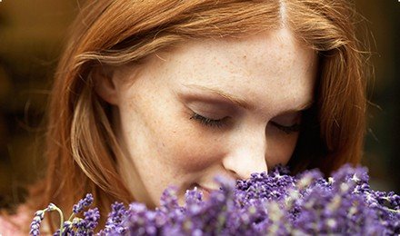 smelling-lavender