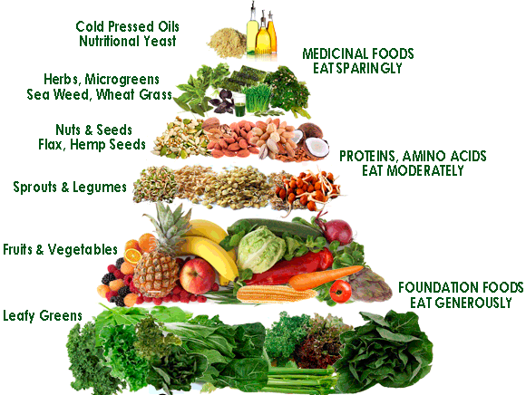 Raw diet food pyramid