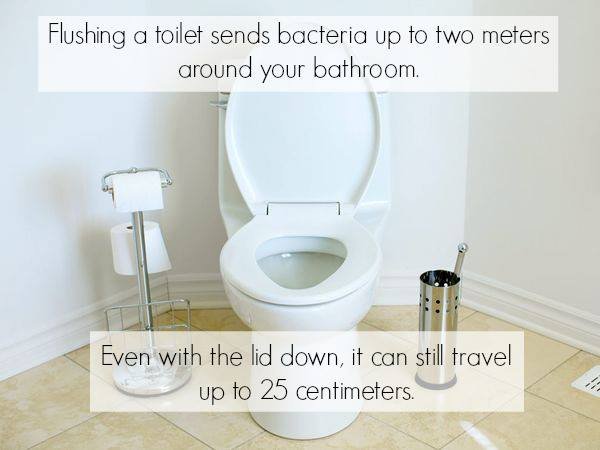 Can You Catch Diseases On Toilet Seats, Can You Catch An Std From A Bathtub Or Toilet